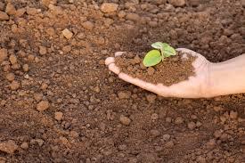 A day to pause and come down to earth 