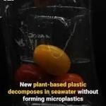 New plant-based plastic decomposes in seawater without forming microplastics