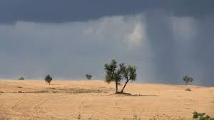 ‘Greening of the Thar is both a success story and a warning’: Vimal Mishra, IIT professor