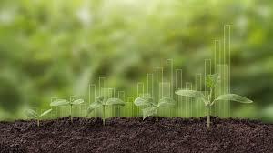 Plants can’t absorb as much CO2 as climate models predicted