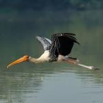 8 Best National Parks You Must Visit This Year