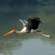 8 Best National Parks You Must Visit This Year