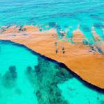 Earth Has One Sea That Touches No Land, Because It Has No Shore… but Something Is Changing