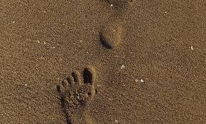 85 Remarkably Preserved Human Footprints Have Emerged on a Moroccan Beach