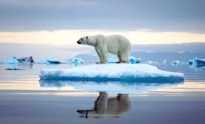 Scientists Warn the Arctic Has Entered a New Age of Extreme Weather