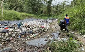 Mangroves are becoming major traps for plastic and coastal waste
