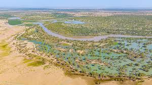 China has planted so many trees around the Taklamakan Desert that it’s turned this ‘biological void’ into a carbon sink