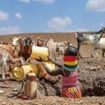 More than two million people face hunger as drought grips Kenya