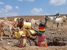 More than two million people face hunger as drought grips Kenya
