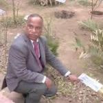 India’s first carbon garden built at DU: How it cleans air and restores soil