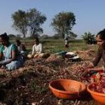 Maharashtra forms task force to address climate change and prevent farmers’ suicides