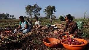 Maharashtra forms task force to address climate change and prevent farmers’ suicides
