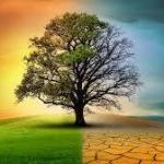 Climate change is accelerating but nature is slowing down