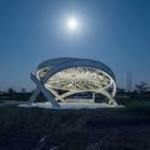 Solar panels are a “waste of time”: A futuristic tree absorb sunlight and produce even more energy