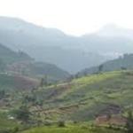 Once cold and steady, now erratic and dry: What is happening in the Nilgiris?