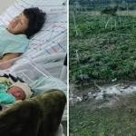 ‘Hope for Indigenous peoples’: An unexpected birth could bring this Amazon tribe back from the brink