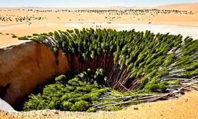 China Tried to Block the Gobi Desert with Millions of Trees, Only to Turn a “Biological Void” Into Carbon-Sink Territory