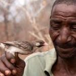 ‘It’s nature calling to humans, and humans deciding whether or not to reply’: Why we need to start paying attention to our mutually beneficial relationships with other species