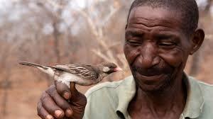 ‘It’s nature calling to humans, and humans deciding whether or not to reply’: Why we need to start paying attention to our mutually beneficial relationships with other species