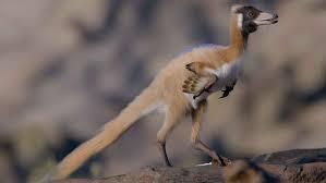 A dinosaur the size of a cat and weighing less than 2.2 pounds changes history; the 90-million-year-old Alnashetri fossil rewrites its lineage