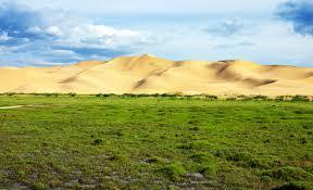 Satellite observations show Earth’s ‘drifting vegetation’ could change global agriculture