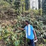 From Araku’s coffee farmers, a model to tackle climate change