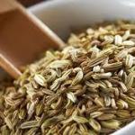 Gastroenterologist Recommends Eating Fennel Seeds After Every Meal, Know Why