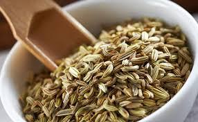 Gastroenterologist Recommends Eating Fennel Seeds After Every Meal, Know Why