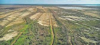 TN climate action model hogs global limelight with Earthshot recognition