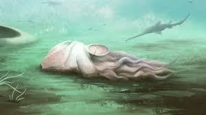 World’s Oldest Known ‘Octopus’ Turns Out to Be An Entirely Different Animal