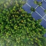 South Korea’s Solar Trees Are Doing Much More Than Generating Electricity