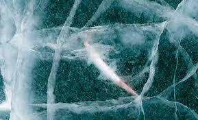 Scientists Revived a 24,000-Year-Old Animal Frozen in Siberia, It Woke Up and Started Reproducing