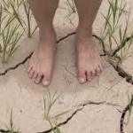 El Nino forecast for May, but experts reject ‘super El Nino’ and extreme heat fears as premature