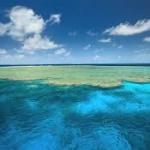 How Earth Day has evolved and what it means now in 2026