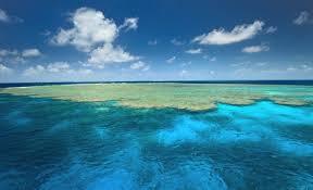 How Earth Day has evolved and what it means now in 2026