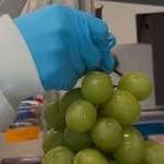 Scientists create a safe and natural wash that strips pesticides off fruit and slows spoilage