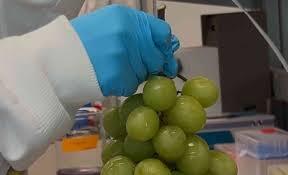 Scientists create a safe and natural wash that strips pesticides off fruit and slows spoilage