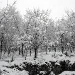 Himalayan snow hits 23-year low, water crisis looms for 2 billion lives