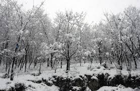 Himalayan snow hits 23-year low, water crisis looms for 2 billion lives