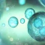 Scientists Create Improved Insulin Cells That Reverse Diabetes in Mice