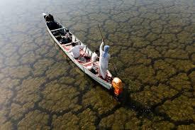 Rains revive Iraq’s wetlands after years of drought