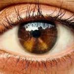 Tiny eye injection may restore vision to damaged retinas