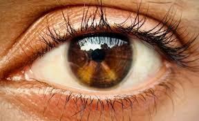 Tiny eye injection may restore vision to damaged retinas