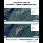 India’s Green Mirage: Northeast is quietly losing its forest cover while India celebrates gains