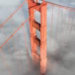 Fog is alive and quietly cleaning pollution from the air