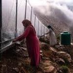 While Villages Run Dry and the Desert Advances, Women in Morocco Climb the Mountains To Catch Fog and Turn It Into Drinking Water