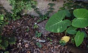 When plants get too hot they get stressed and leave behind a distinct chemical fingerprint