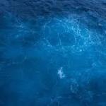 The ocean produces roughly half of Earth’s oxygen — not the rainforest, which uses up most of what it makes — through photosynthesis by phytoplankton, microscopic marine organisms so abundant that a single teaspoon of seawater can contain as many as a million of them.