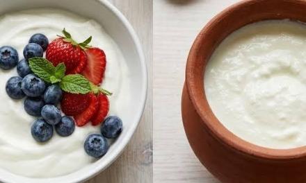 Greek yogurt vs curd: What’s the difference?