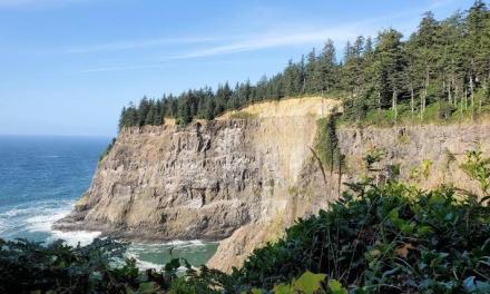 Mountain soils store twice as much carbon as scientists thought